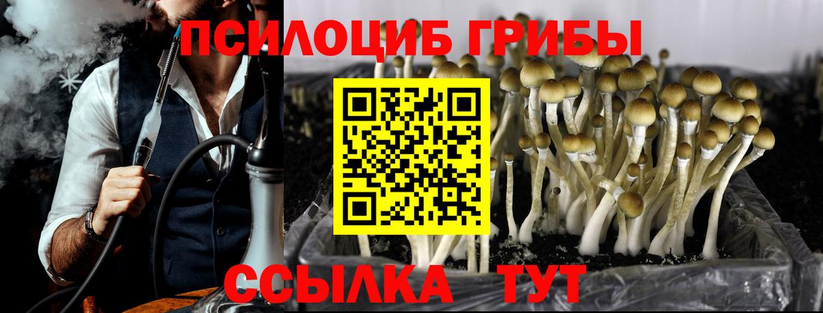 Псилоцибиновые грибы GOLDEN TEACHER Шебекино